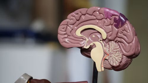 Neurosurgery