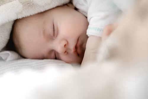 IVF & Fertility